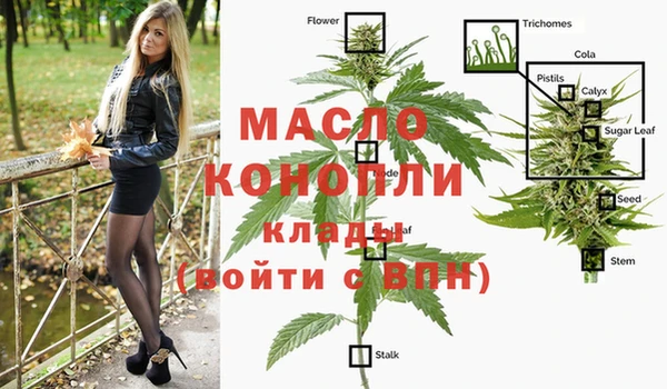 мяу мяу мука Бородино