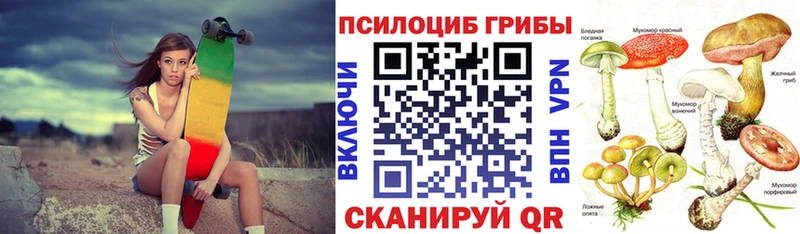 Псилоцибиновые грибы мицелий  Карачаевск 